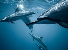 欧洲大满贯瑞典站:陈垣宇3-1战胜亚当-沃林,晋级32强